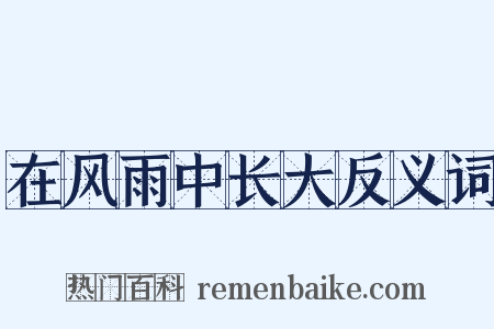 在风雨中长大反义词是什么意思的图片